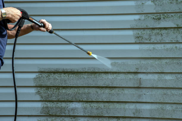 Trusted Rosepine, LA Pressure Washing Services Experts